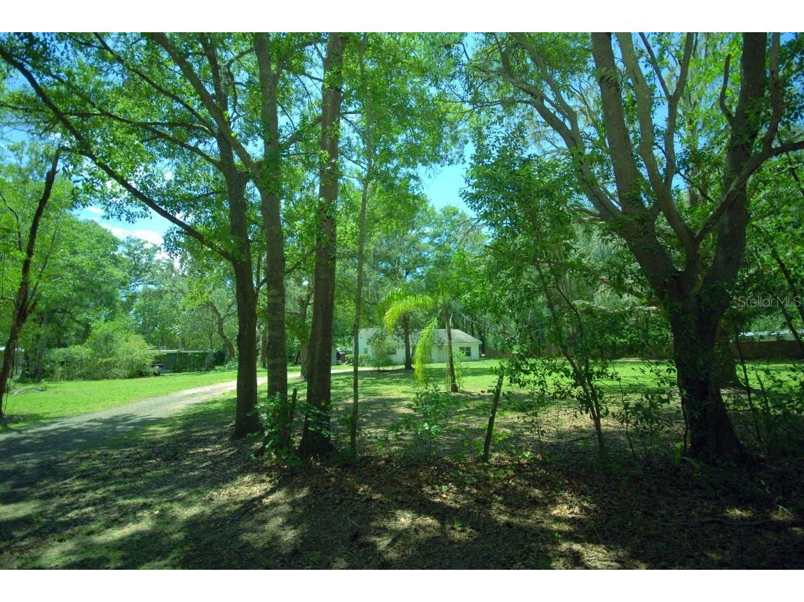 3307 Possom Trot Road Valrico FL 33596 T3451979 image1
