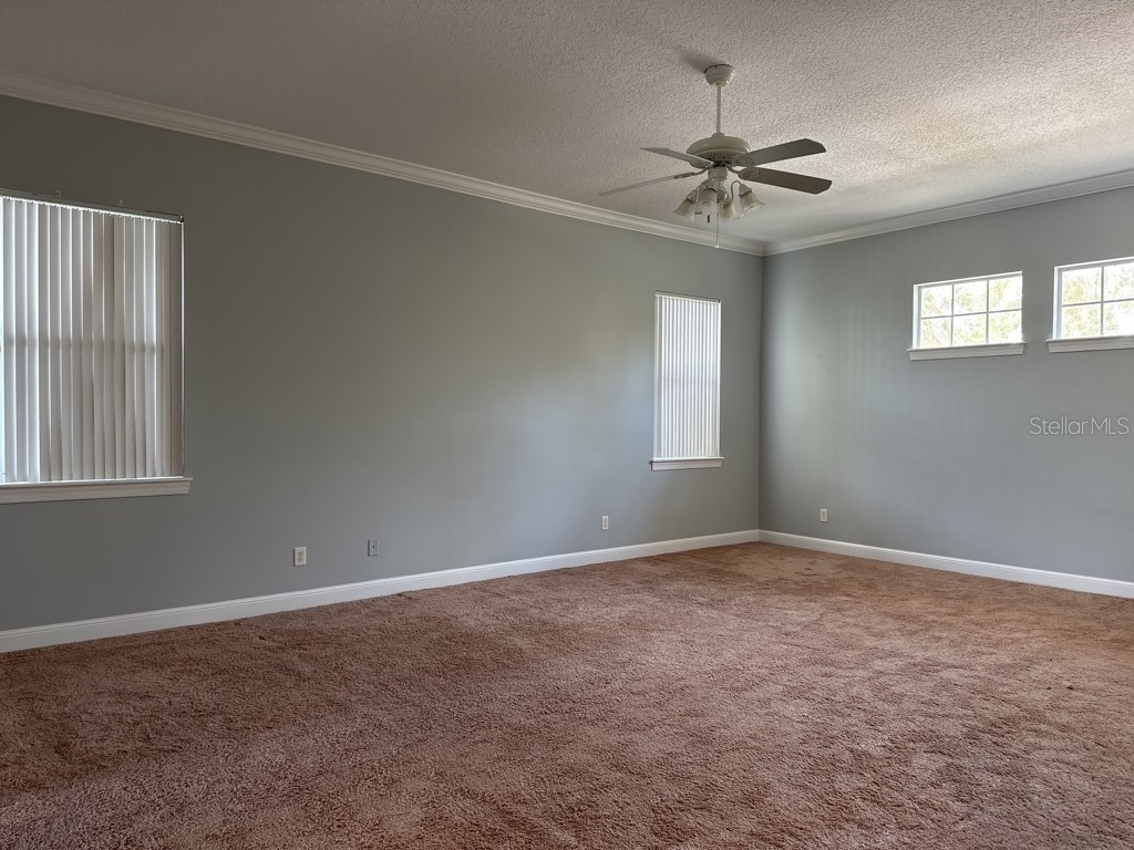 3307 W Corona Street Tampa FL 33629 TB8438969 image14