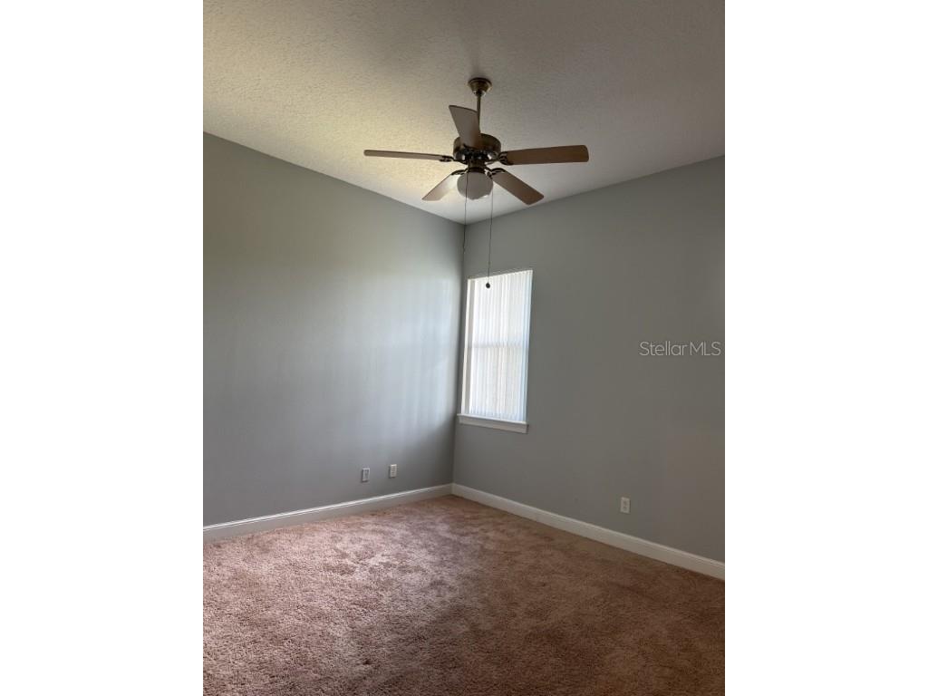 3307 W Corona Street Tampa FL 33629 TB8438969 image18