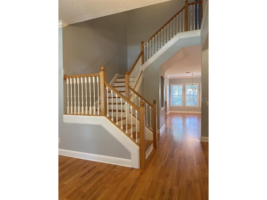 3307 W Corona Street Tampa FL 33629 TB8438969 image2