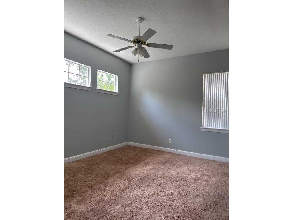 3307 W Corona Street Tampa FL 33629 TB8438969 image22