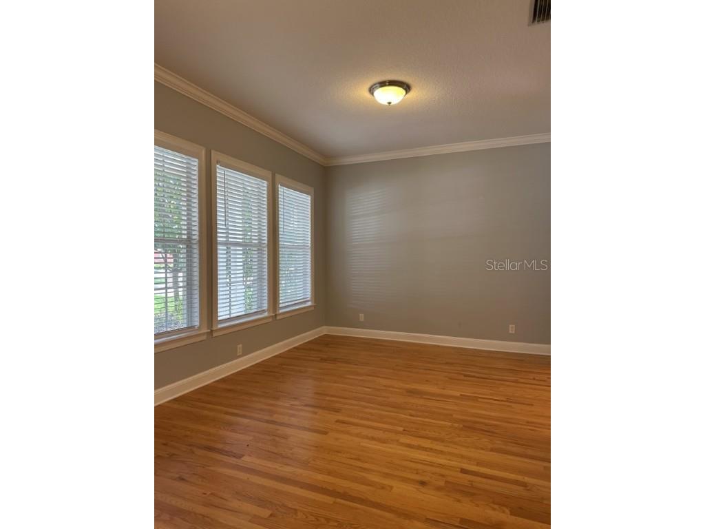 3307 W Corona Street Tampa FL 33629 TB8438969 image4