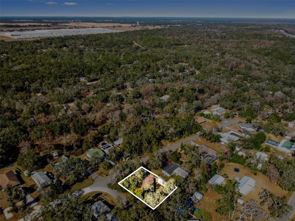 33073 Cassandra Way Dade City FL 33523 TB8461547 image10