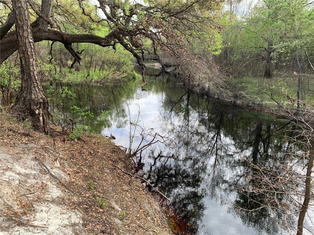 33074 Ranch Road Dade City FL 33523 A4667316 image2