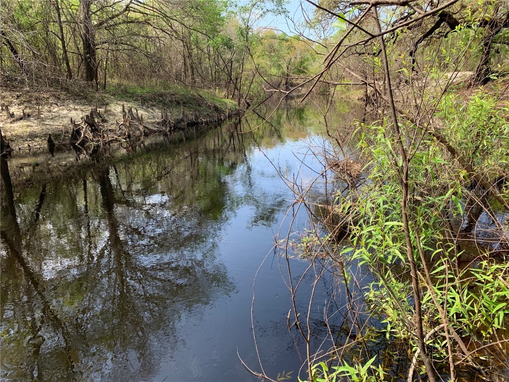 33074 Ranch Road Dade City FL 33523 A4667316 image3