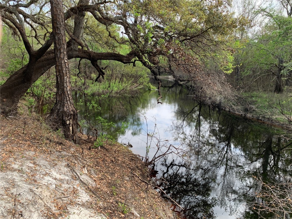 33074 Ranch Road Dade City FL 33523 A4667316 image5