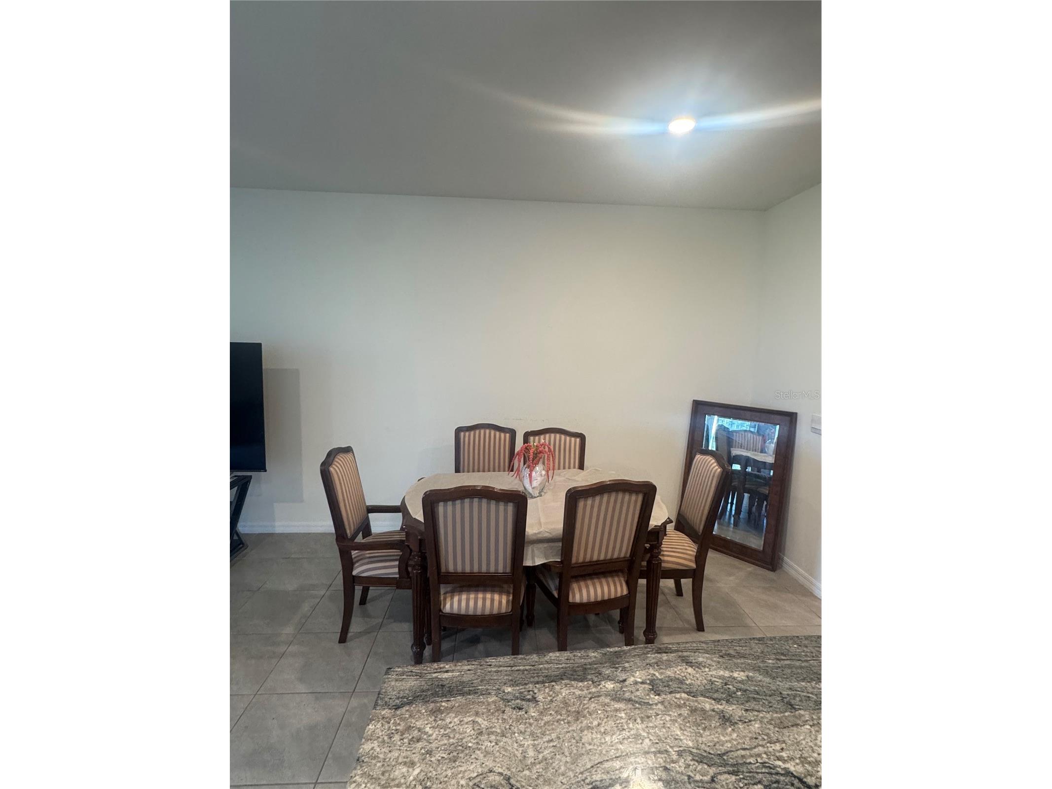 33074 Tulip Petal Lane Wesley Chapel FL 33545 TB8497648 image4