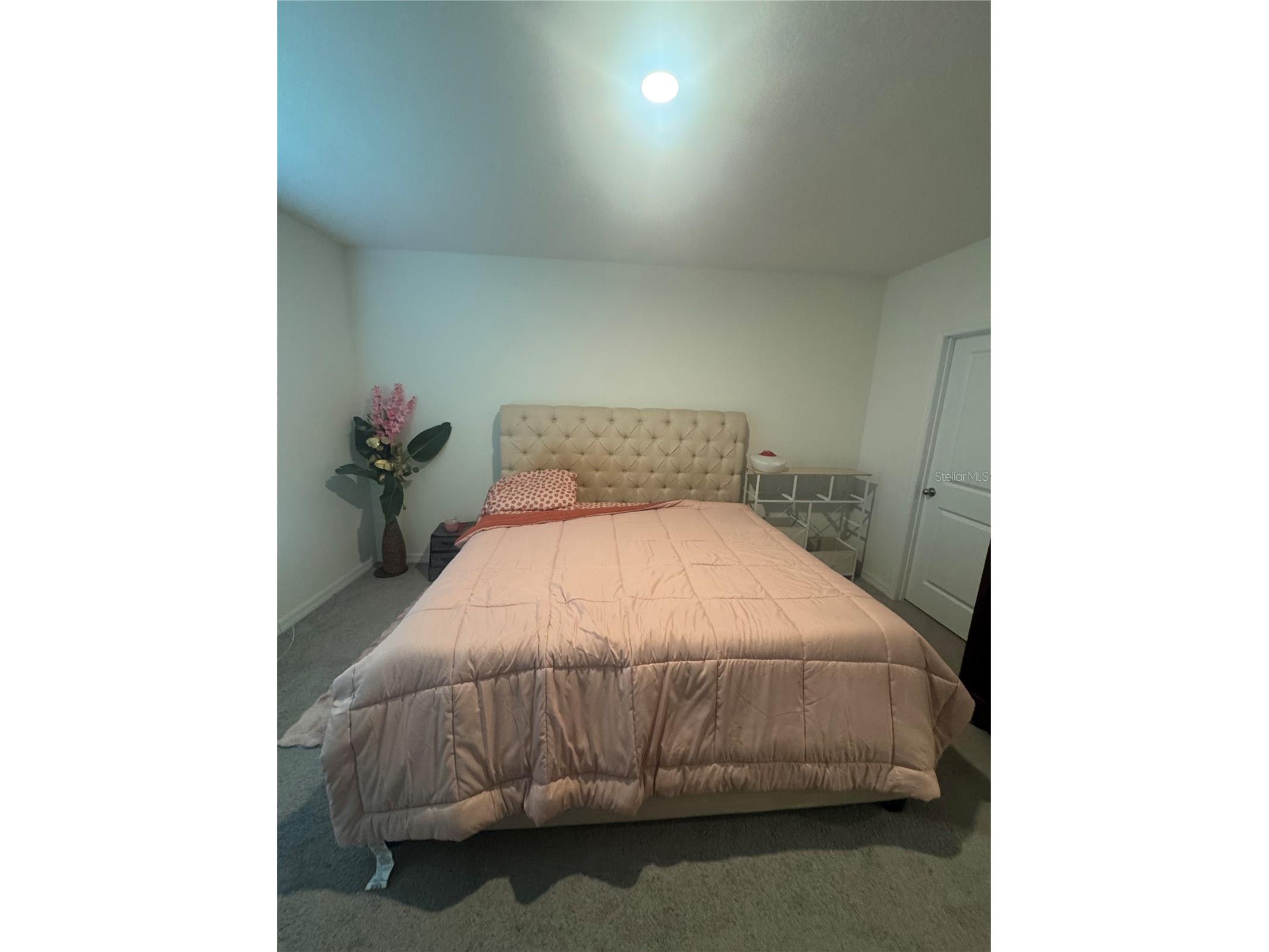 33074 Tulip Petal Lane Wesley Chapel FL 33545 TB8497648 image6