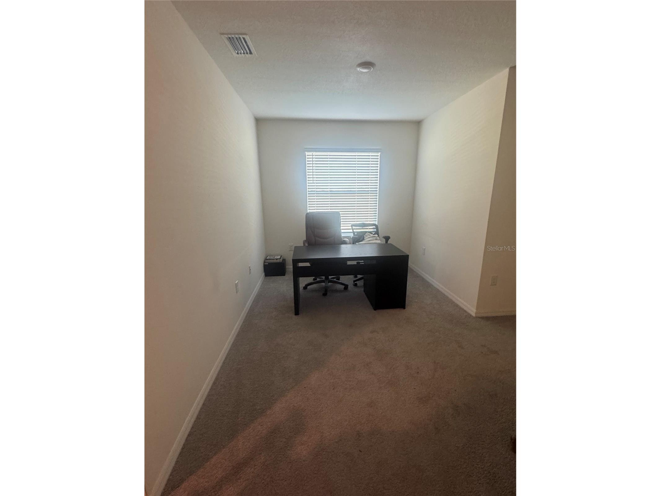 33074 Tulip Petal Lane Wesley Chapel FL 33545 TB8497648 image9
