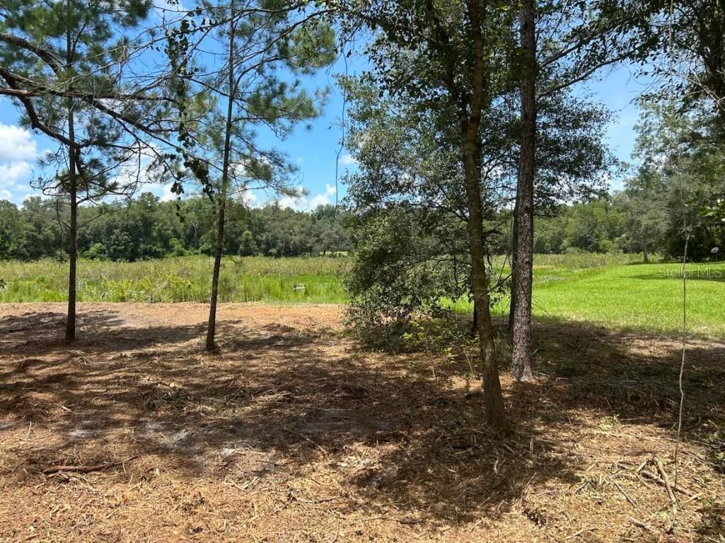 33077 Smallman Street Webster FL 33597 U8231635 image1
