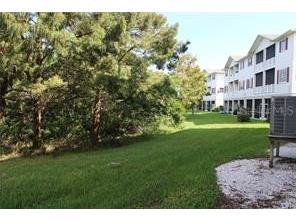 3308 10th Lane W Palmetto FL 34221 - TERRA CEIA BAY A4655633 image40