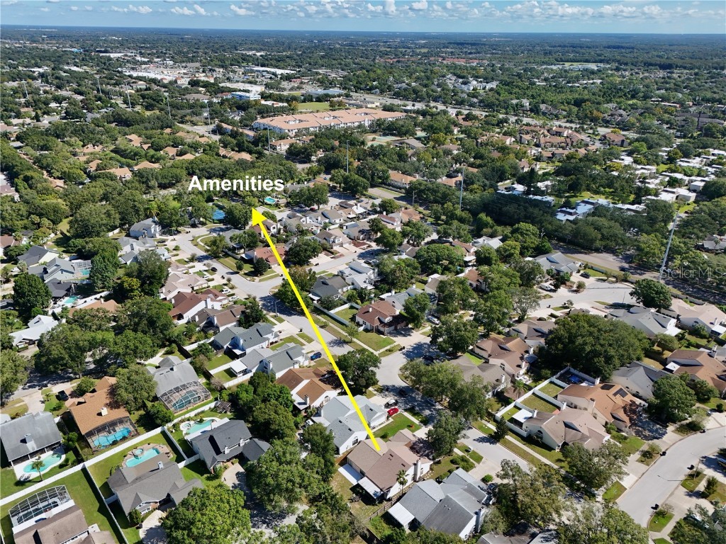 3308 Bridgeford Drive Orlando FL 32812 S5135220 image38