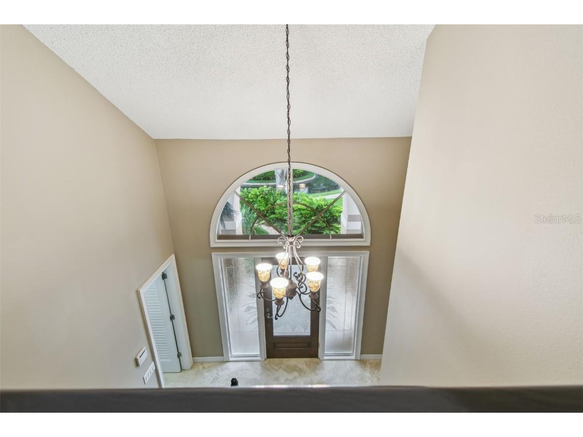 3308 Landing Place Palm Harbor FL 34684 TB8392512 image50