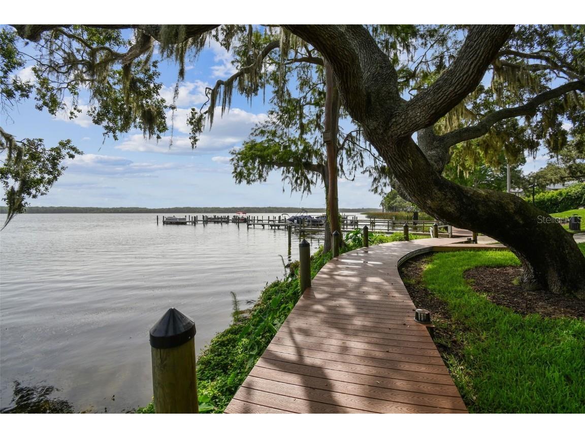 3308 Landing Place Palm Harbor FL 34684 TB8392512 image78