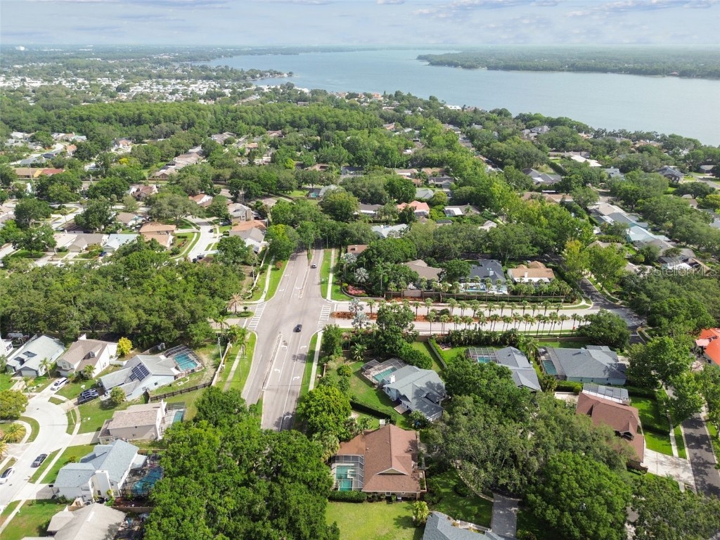 3308 Landing Place Palm Harbor FL 34684 TB8392512 image79