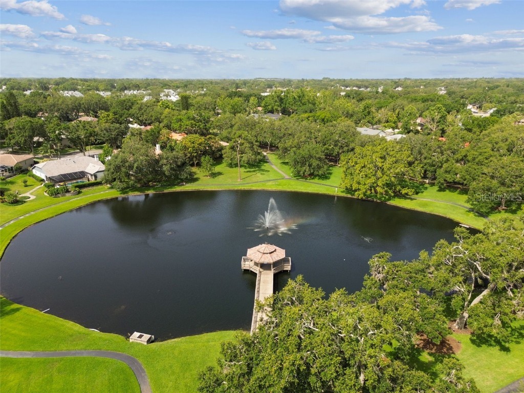 3308 Landing Place Palm Harbor FL 34684 TB8392512 image82