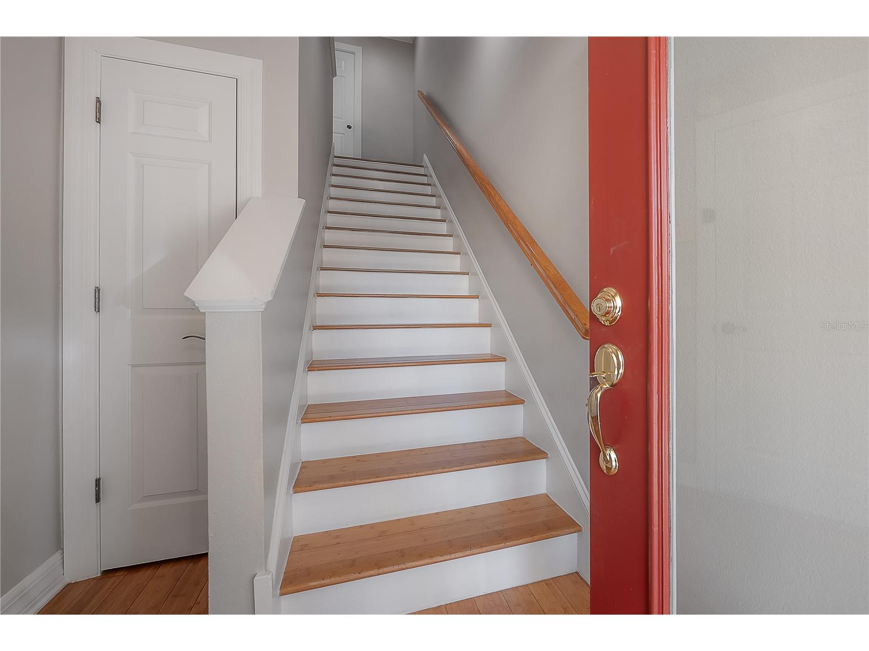 3308 Las Campos Place Tampa FL 33611 TB8483625 image3