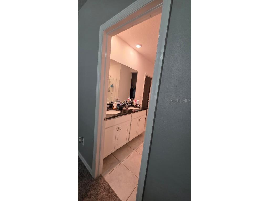 3308 Poppy Snow Place Zephyrhills FL 33540 TB8432535 image16