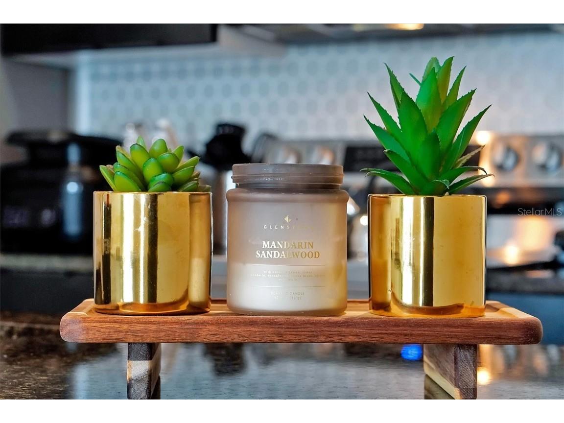 3308 Tranquil Trail Kissimmee FL 34747 O6317867 image8