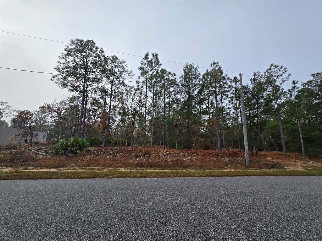 3308 W Eunice Drive Dunnellon FL 34433 OM693309 image1