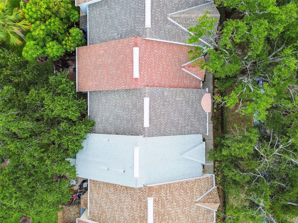 3308 W Wyoming Circle Tampa FL 33611 TB8399392 image7