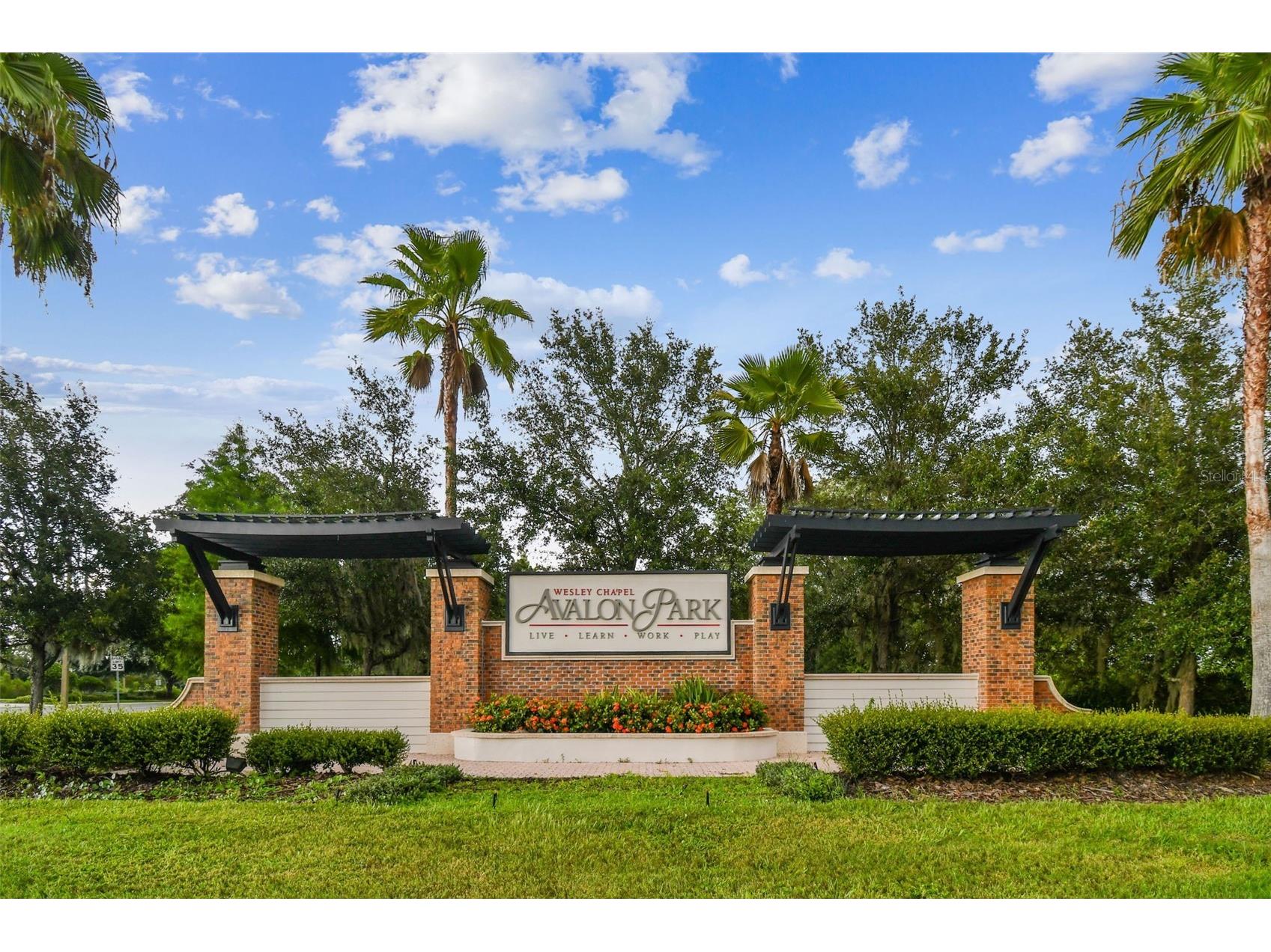 33083 Frosted Clover Way Wesley Chapel FL 33545 TB8485860 image72