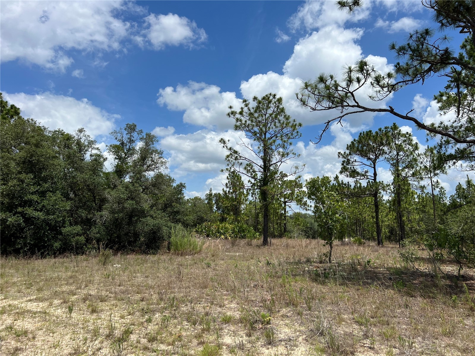 3309/3323 W Hampshire Boulevard Citrus Springs FL 34433 S5126959 image4