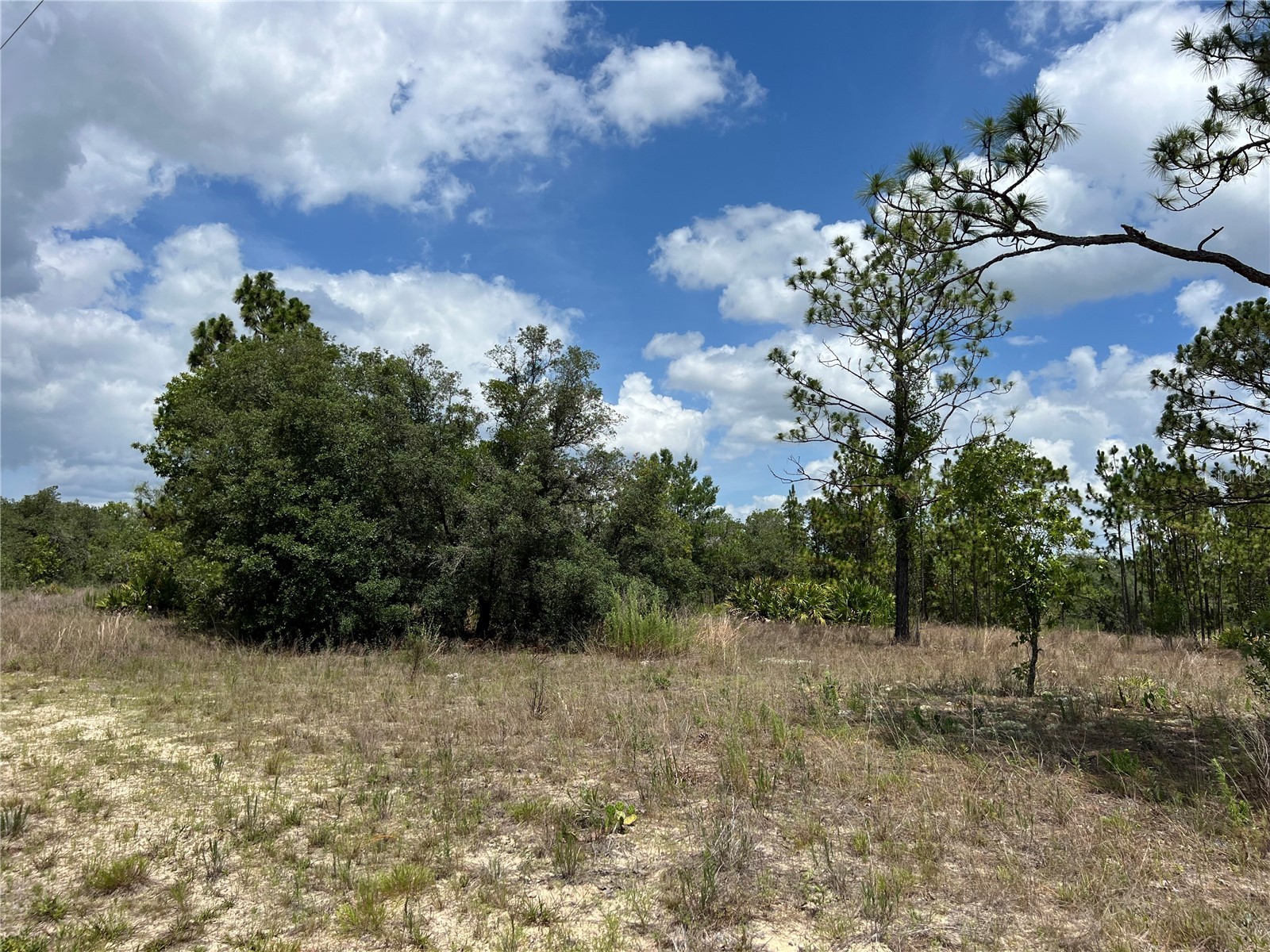 3309/3323 W Hampshire Boulevard Citrus Springs FL 34433 S5126959 image5