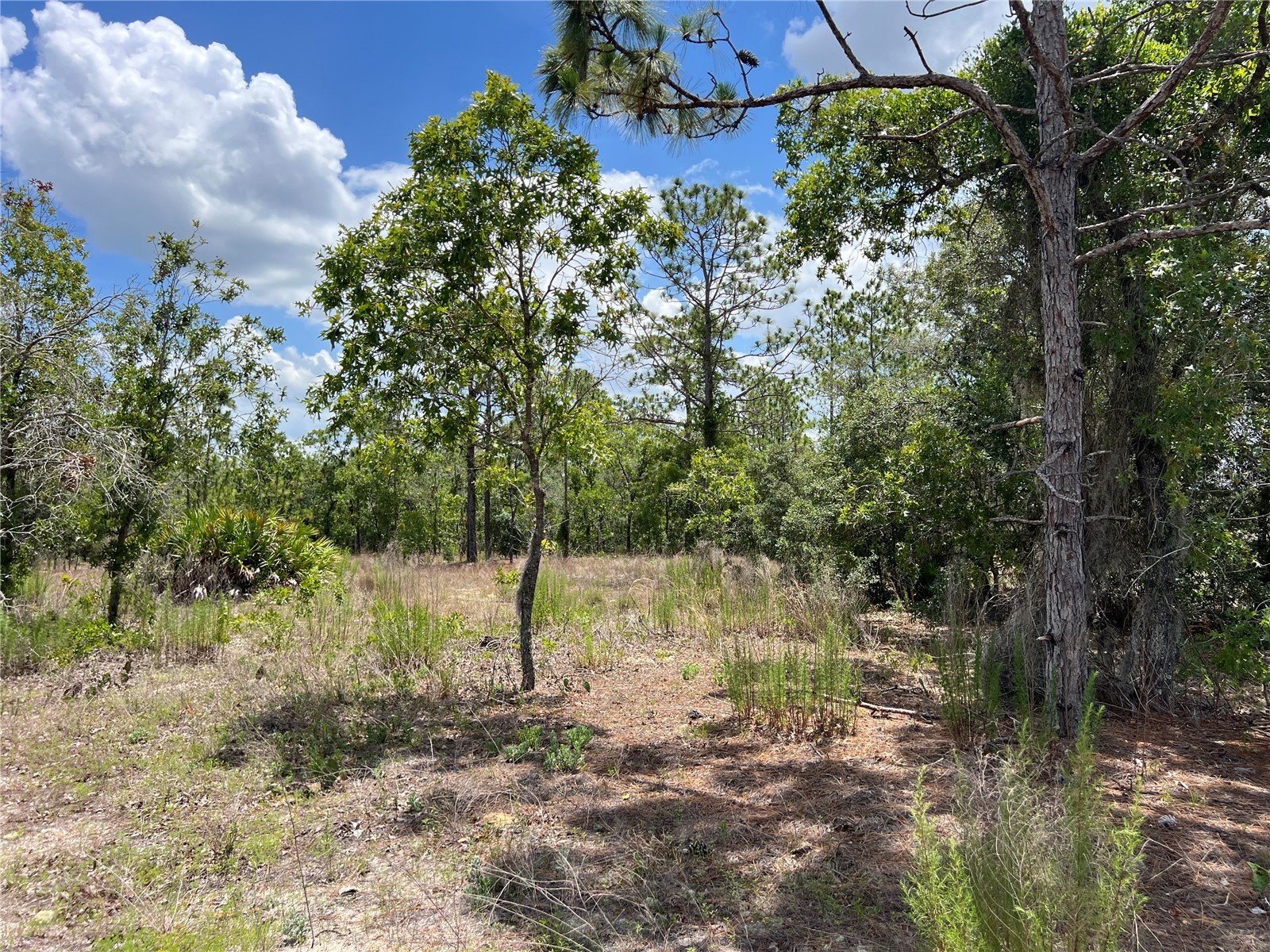 3309/3323 W Hampshire Boulevard Citrus Springs FL 34433 S5126959 image7