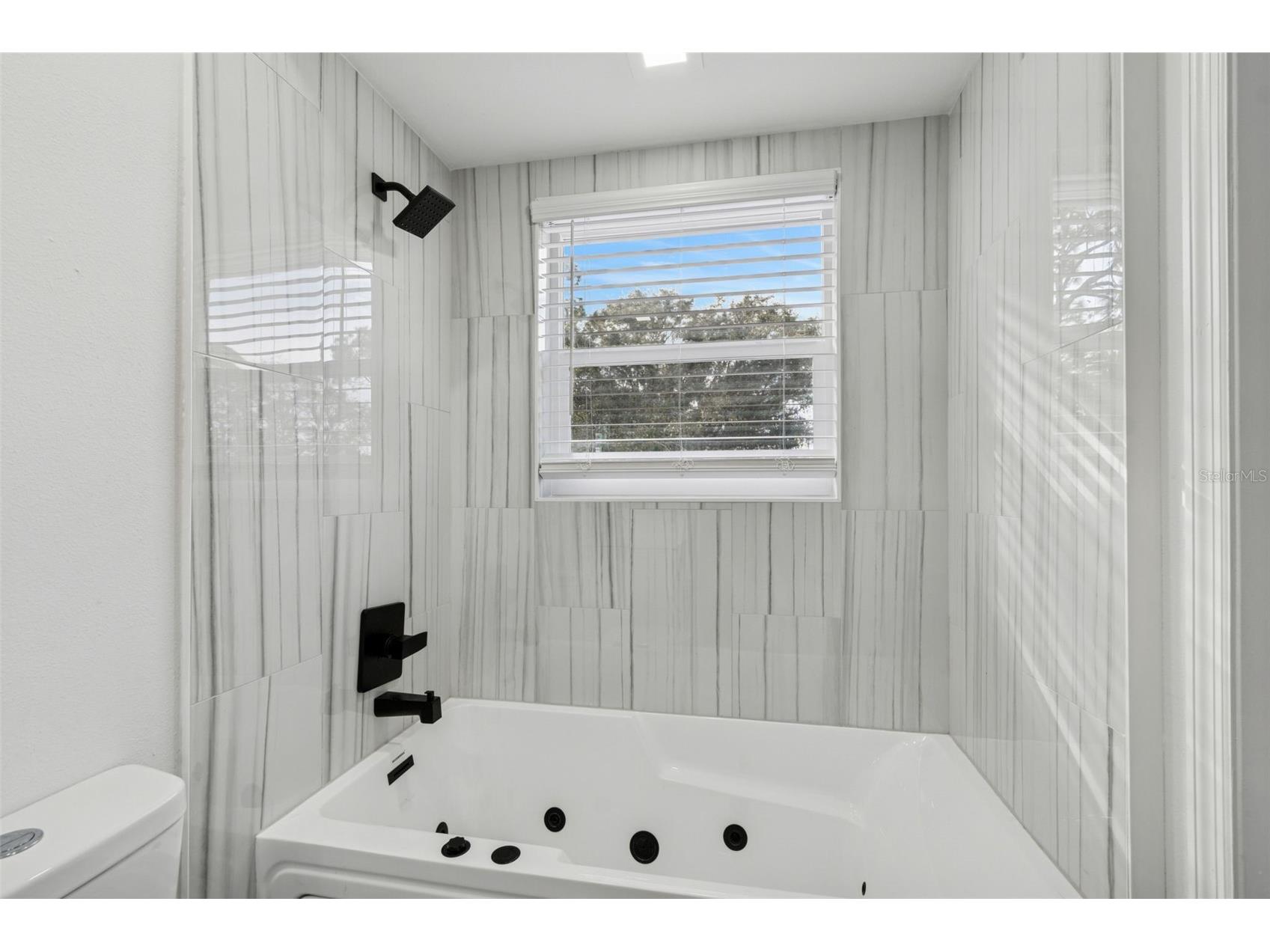 3309 Briarwood Lane Safety Harbor FL 34695 TB8509582 image38