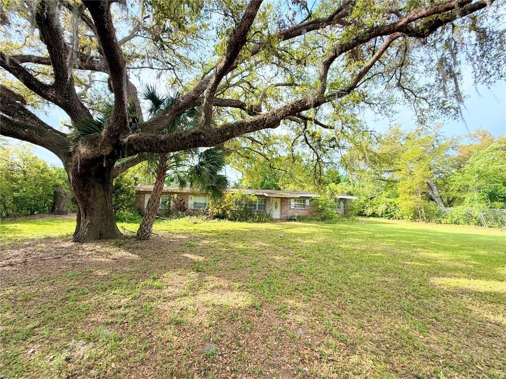 3309 Joe Sanchez Road Plant City FL 33565 W7873603 image1