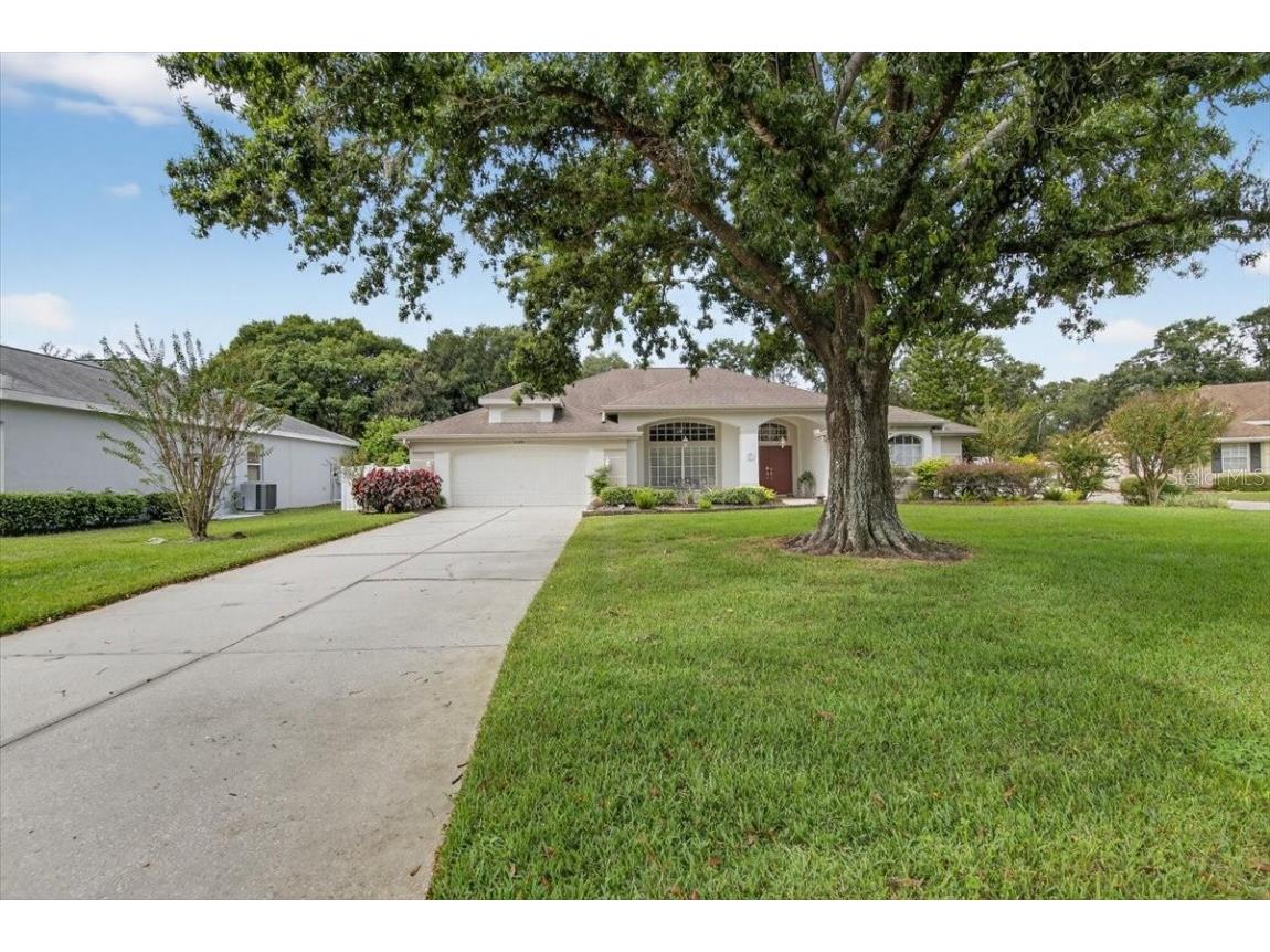 3309 Nohlcrest Place Plant City FL 33566 TB8421201 image41