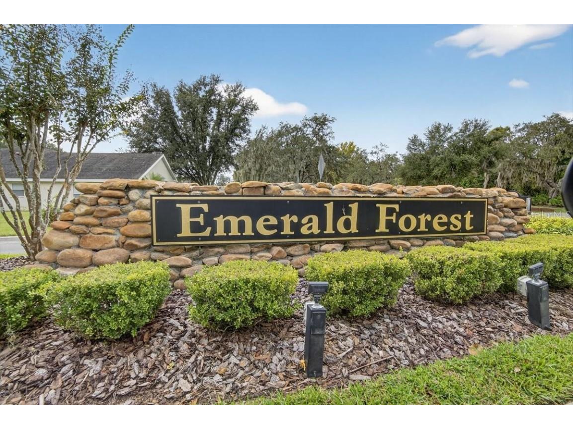 3309 Nohlcrest Place Plant City FL 33566 TB8421201 image44