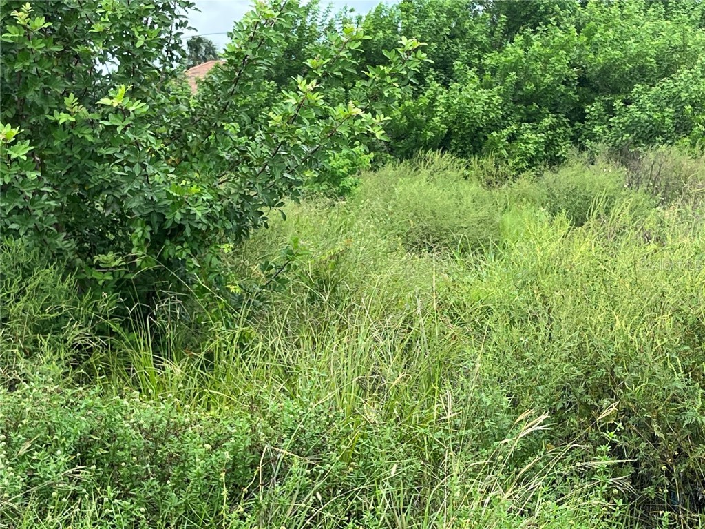 3309 Port Charlotte Boulevard Port Charlotte FL 33952 C7480243 image1