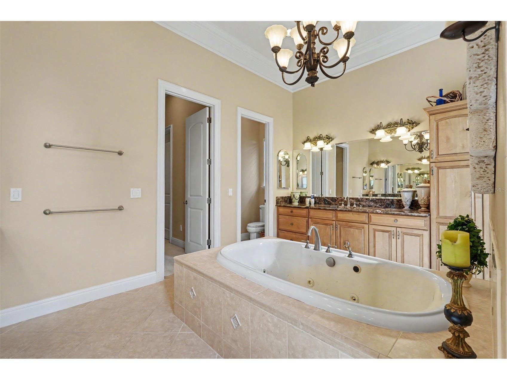 3309 Twin Rivers Trail Parrish FL 34219 TB8529131 image23
