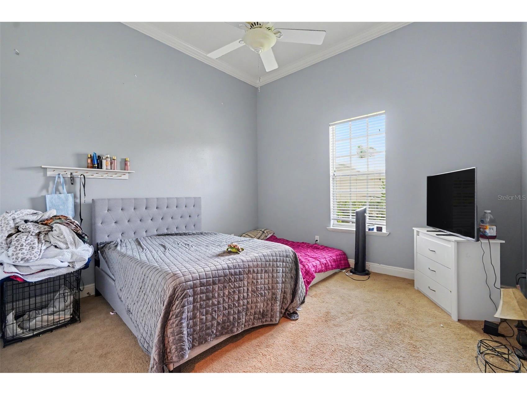 3309 Twin Rivers Trail Parrish FL 34219 TB8529131 image27