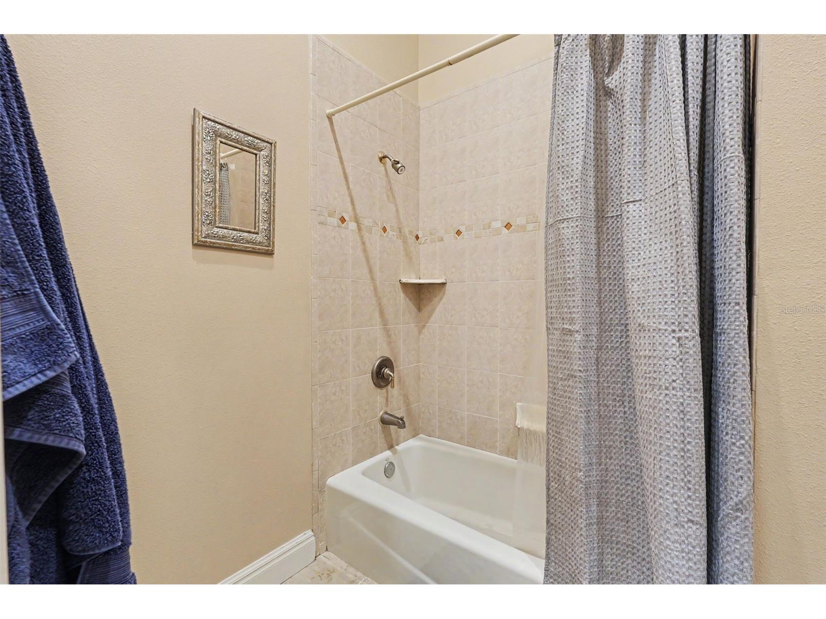 3309 Twin Rivers Trail Parrish FL 34219 TB8529131 image30