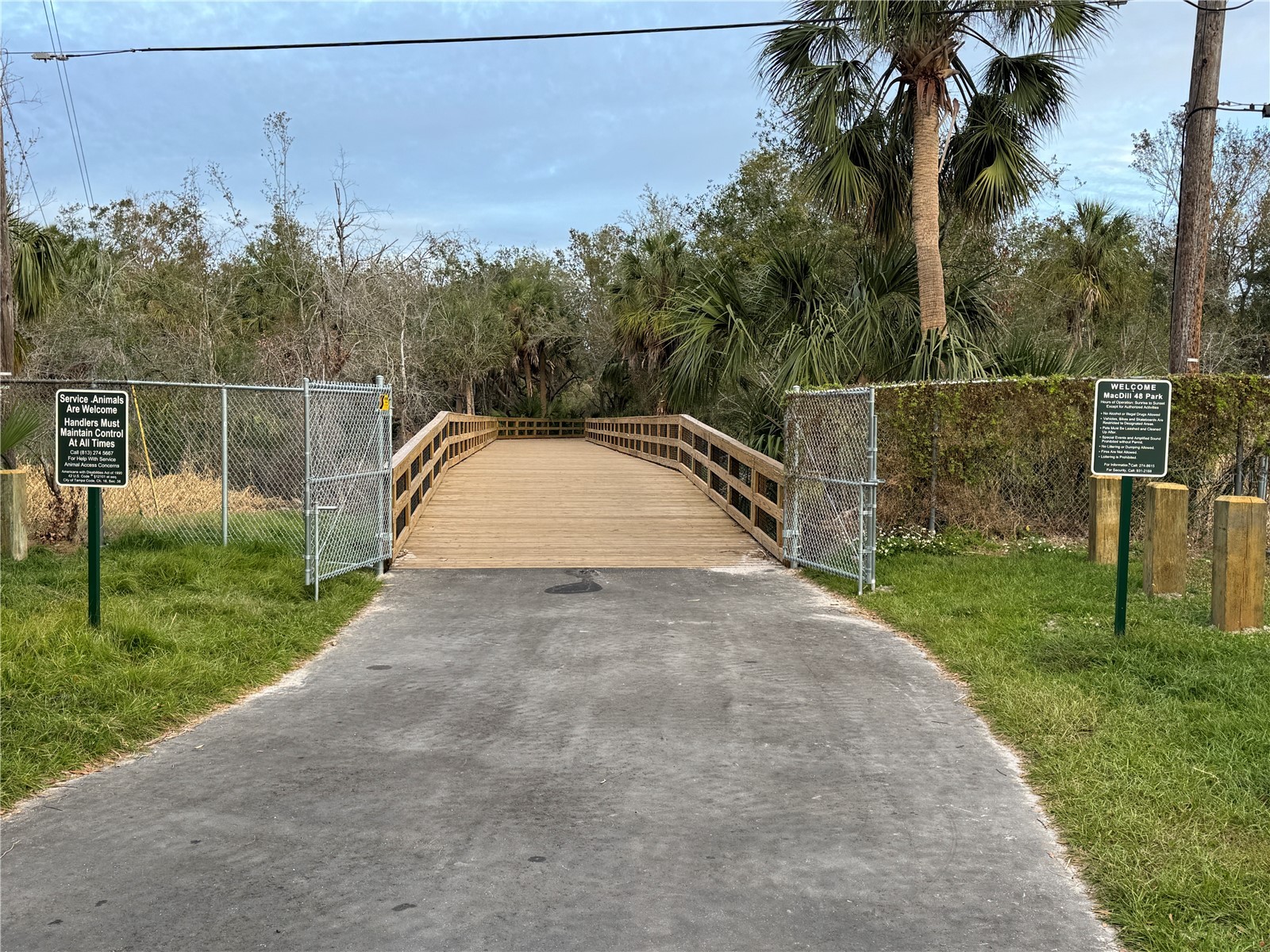 3309 W Napoleon Avenue Tampa FL 33611 TB8488337 image29
