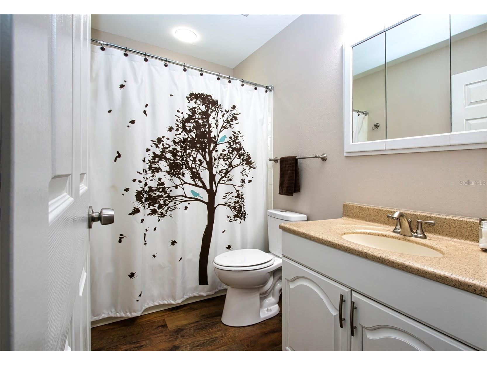 3309 Yellowknife Circle Wimauma FL 33598 TB8528421 image42