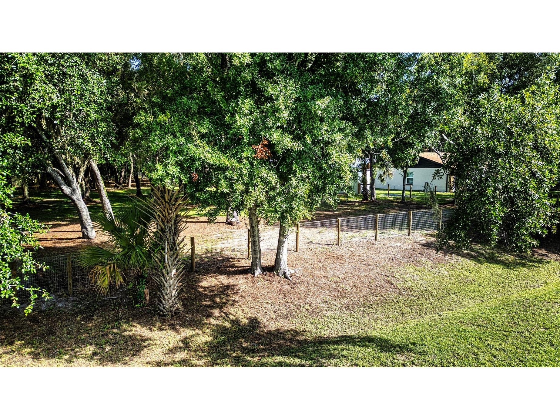 3309 Yellowknife Circle Wimauma FL 33598 TB8528421 image53