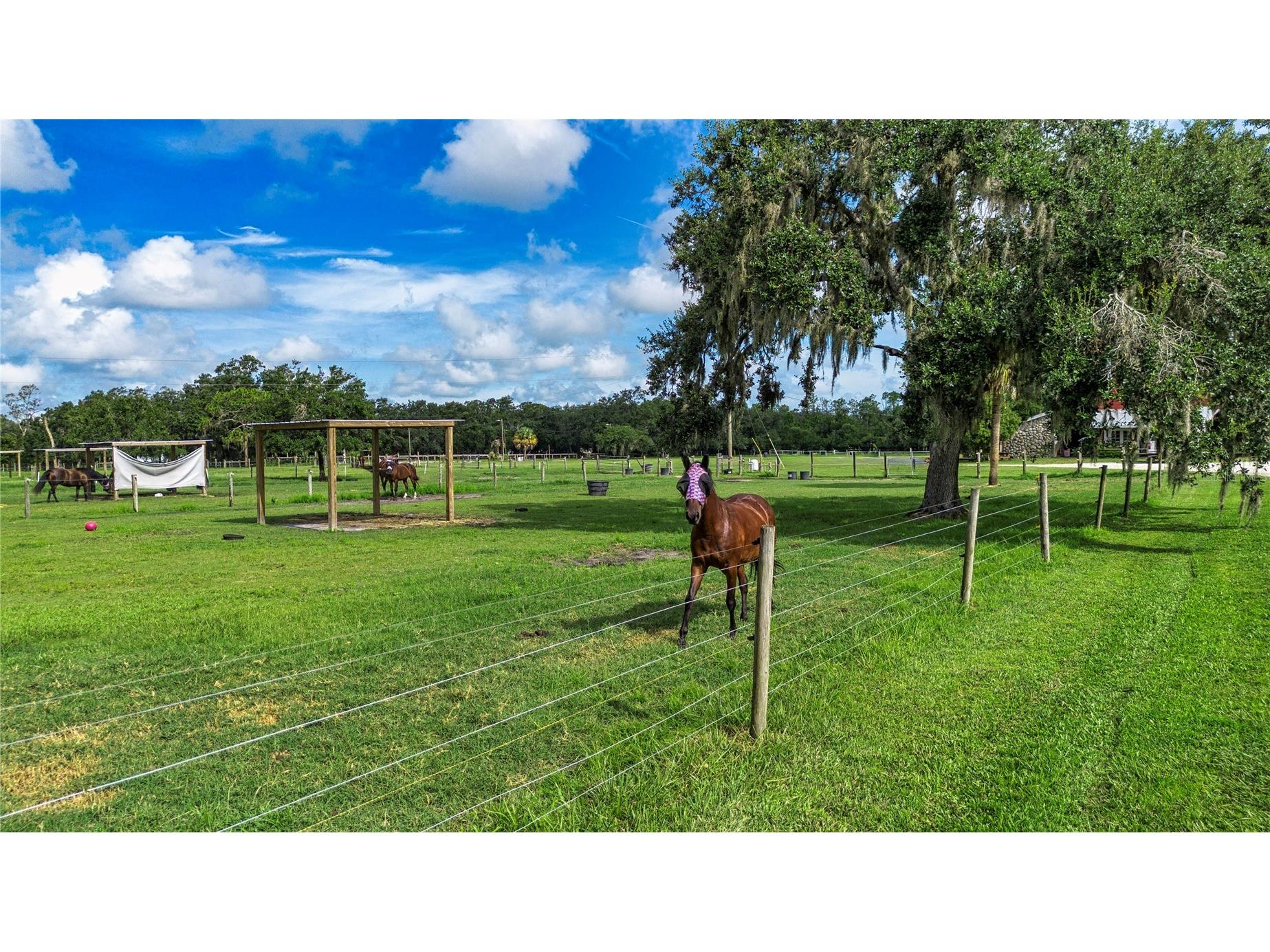 3309 Yellowknife Circle Wimauma FL 33598 TB8528421 image74