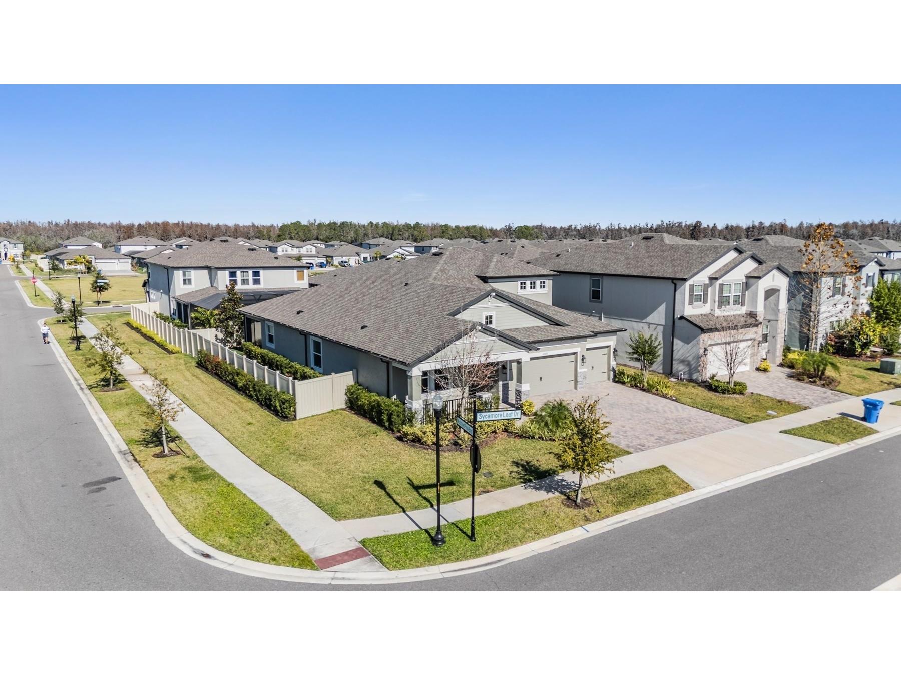 33091 Sycamore Leaf Drive Wesley Chapel FL 33545 TB8462068 image37