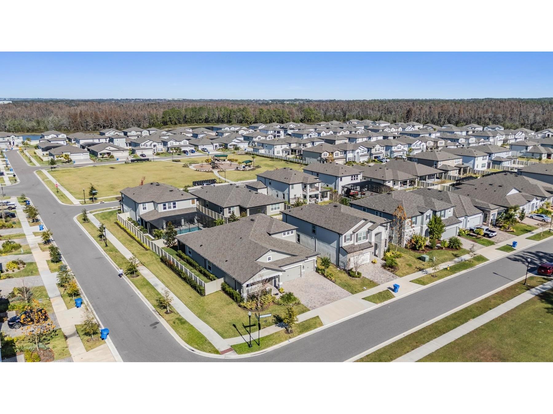 33091 Sycamore Leaf Drive Wesley Chapel FL 33545 TB8462068 image38