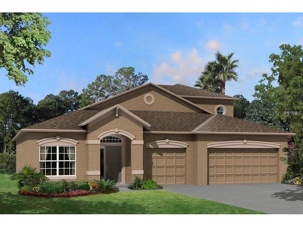 33091 Sycamore Leaf Road Wesley Chapel FL 33545 T3428462 image1