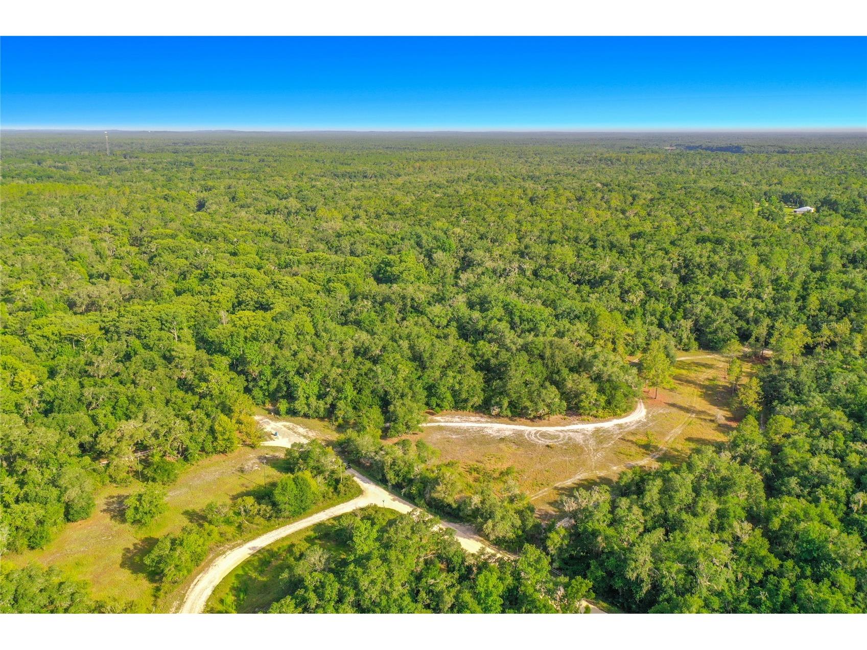 33099 Coral Rock Drive Webster FL 33597 TB8526123 image11