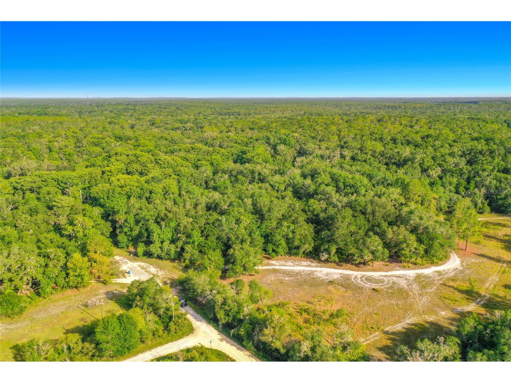 33099 Coral Rock Drive Webster FL 33597 TB8526123 image12