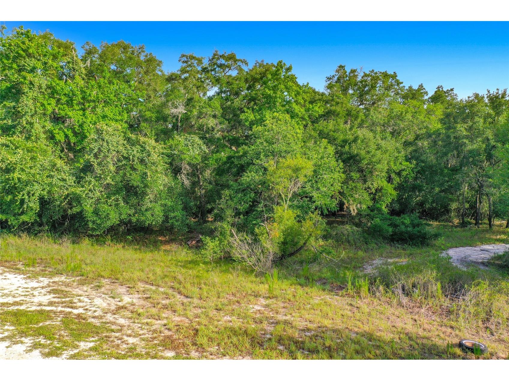 33099 Coral Rock Drive Webster FL 33597 TB8526123 image13