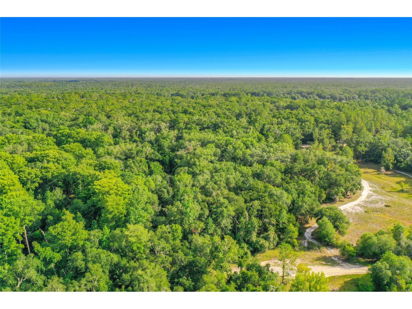 33099 Coral Rock Drive Webster FL 33597 TB8526123 image14