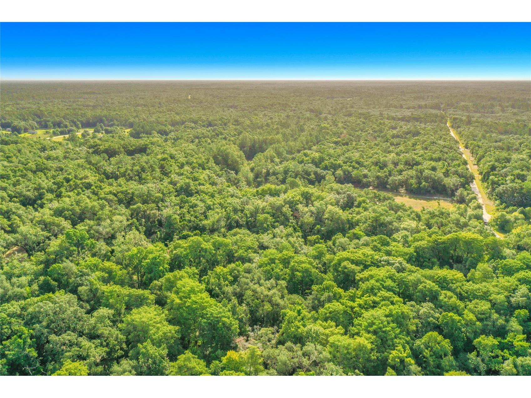 33099 Coral Rock Drive Webster FL 33597 TB8526123 image17