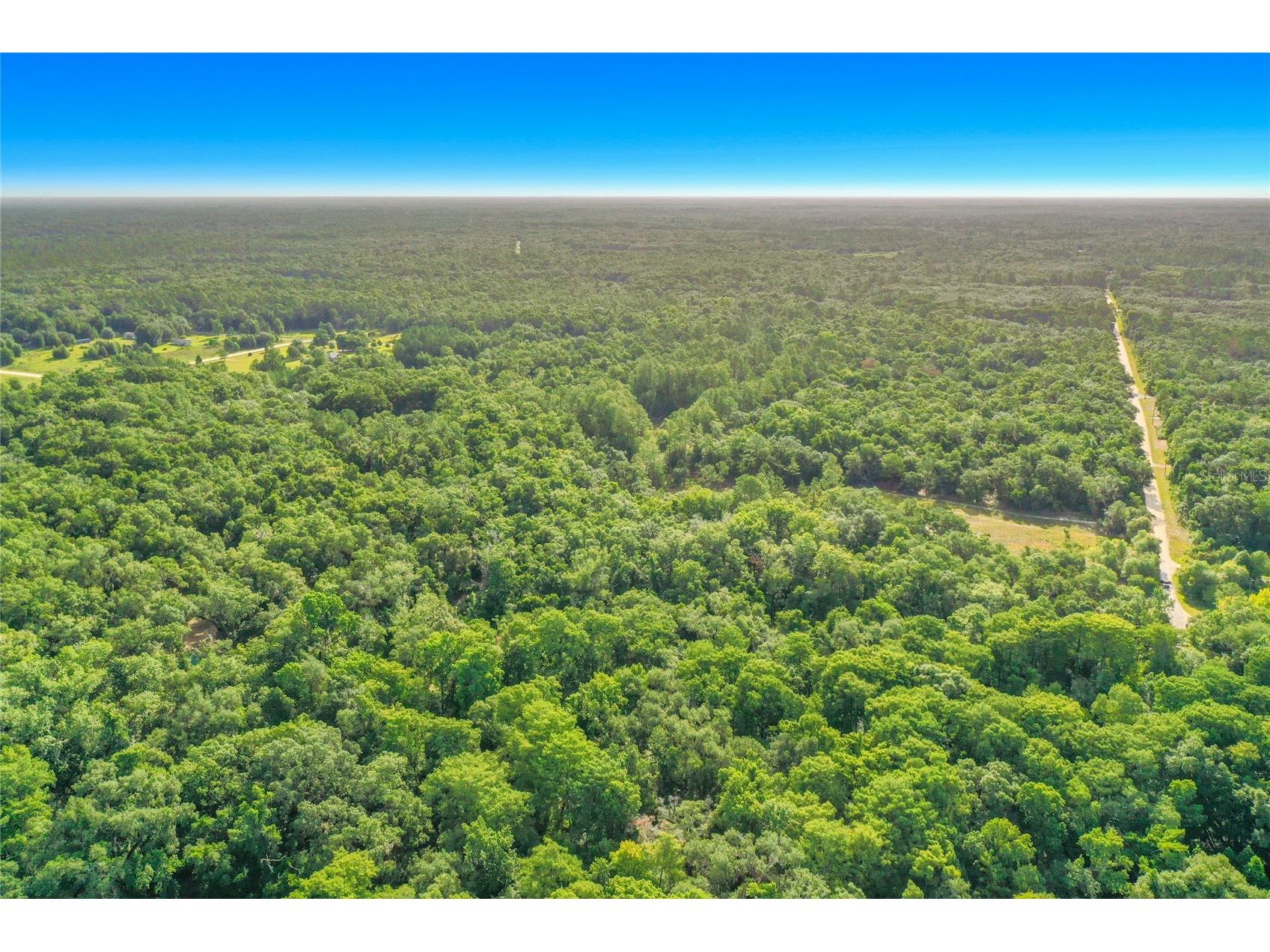 33099 Coral Rock Drive Webster FL 33597 TB8526123 image18